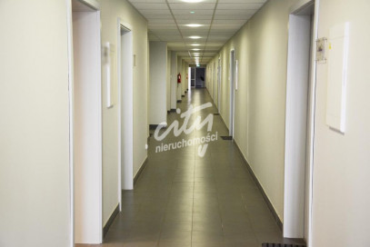 Lokal Wynajem Szczecin Śródmieście