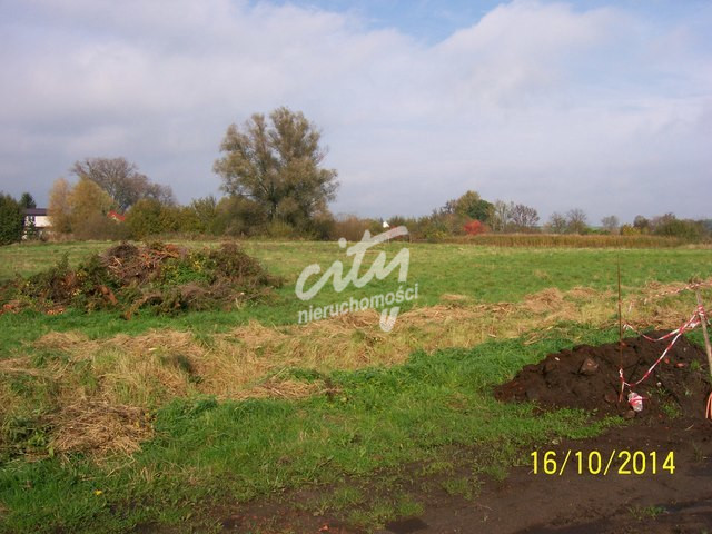 Działka Sprzedaż Choszczno 4
