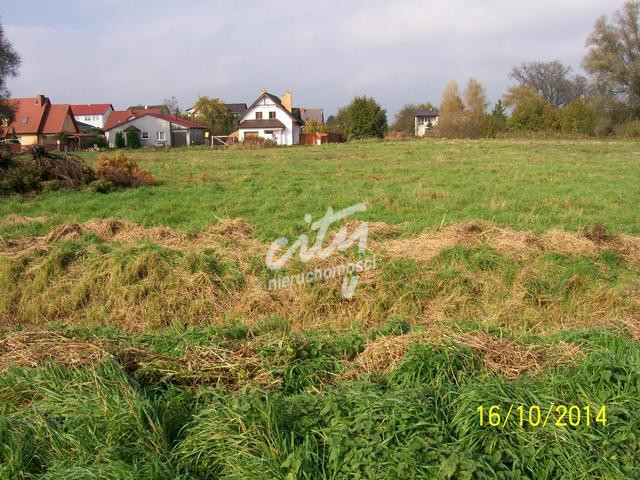 Działka Sprzedaż Choszczno 4