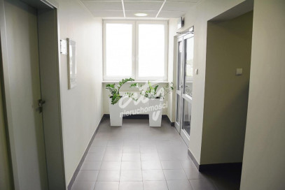 Lokal Wynajem Szczecin Śródmieście