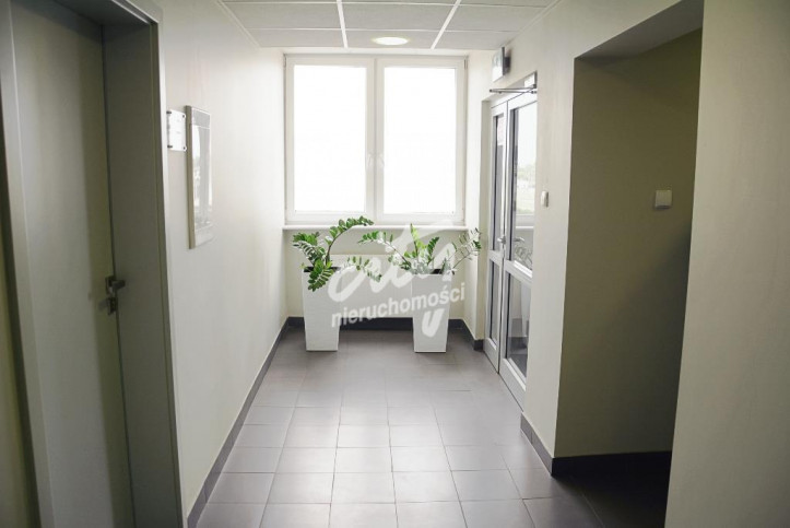 Lokal Wynajem Szczecin Śródmieście 6