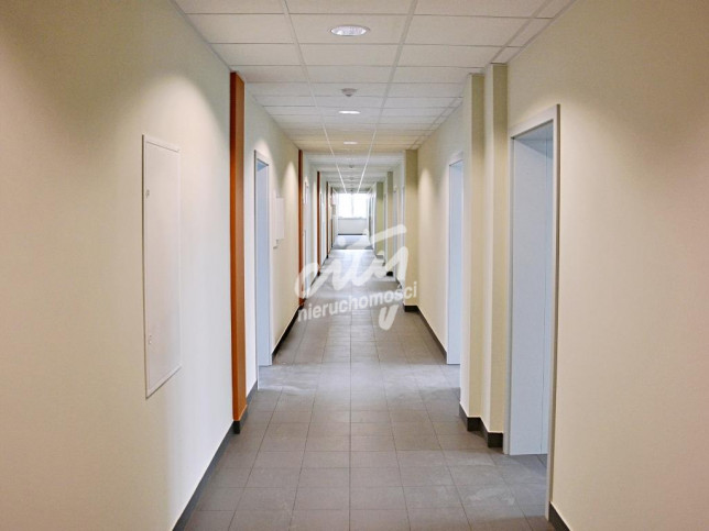 Lokal Wynajem Szczecin Śródmieście 12