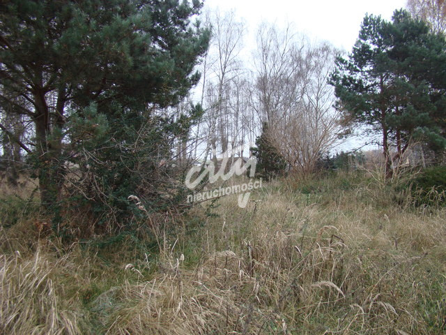 Działka Sprzedaż Pniewo 1