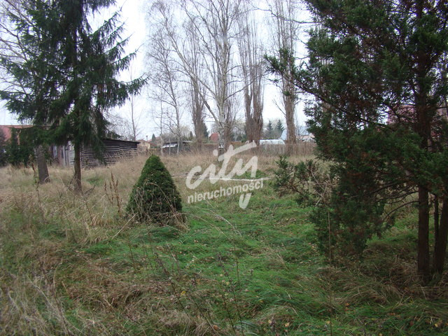 Działka Sprzedaż Pniewo 7