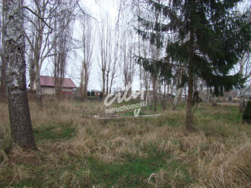 Działka Sprzedaż Pniewo