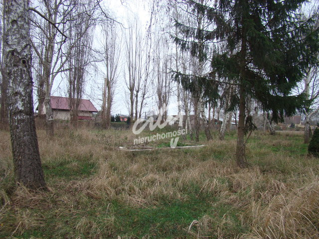 Działka Sprzedaż Pniewo 11