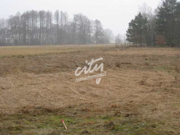 Działka Sprzedaż Stepnica