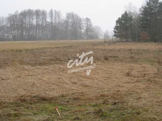 Działka Sprzedaż Stepnica 14