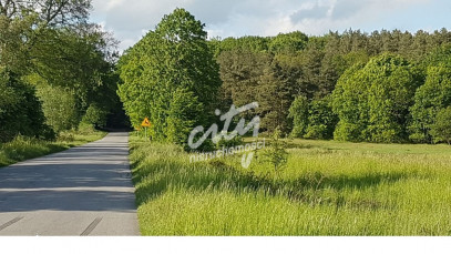 Działka Sprzedaż Swobnica
