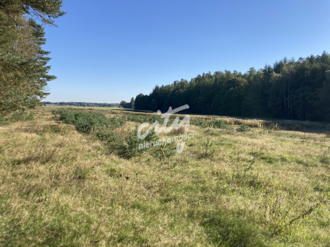 Działka Sprzedaż Krzepocin 1