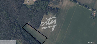 Działka Sprzedaż Krzepocin