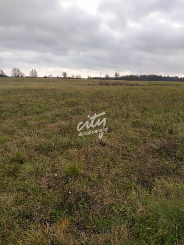 Działka Sprzedaż Szczecin Skolwin 1