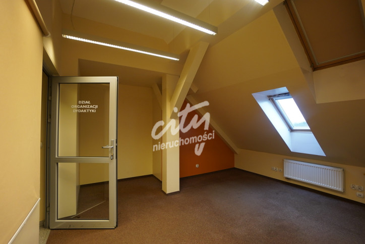 Lokal Wynajem Szczecin Śródmieście 8