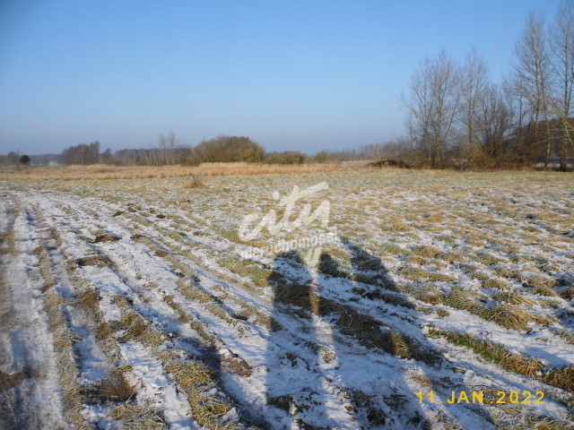 Działka Sprzedaż Brzózki 2