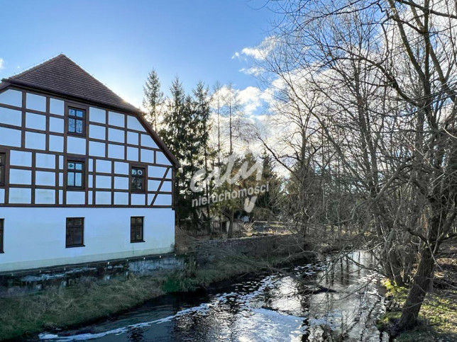 Obiekt Sprzedaż Babigoszcz 2