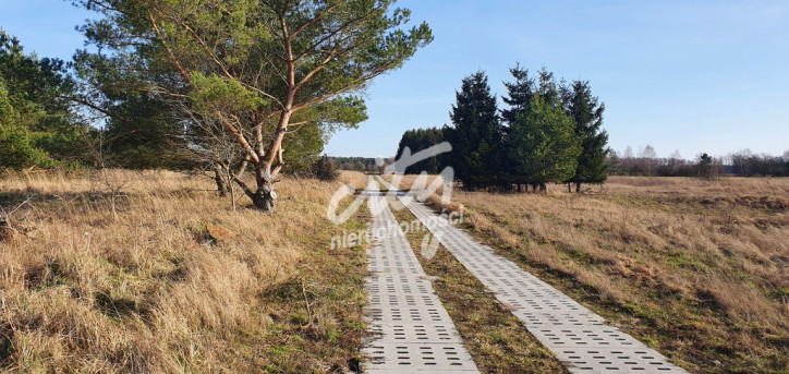 Działka Sprzedaż Białuń 4