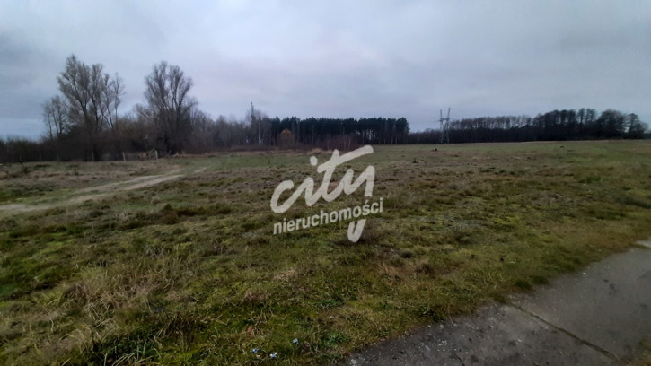 Działka Sprzedaż Stepnica 7