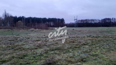 Działka Sprzedaż Stepnica