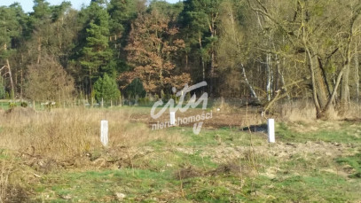 Działka Sprzedaż Kościno