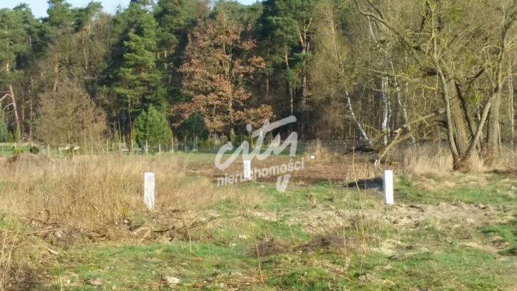 Działka Sprzedaż Kościno 9