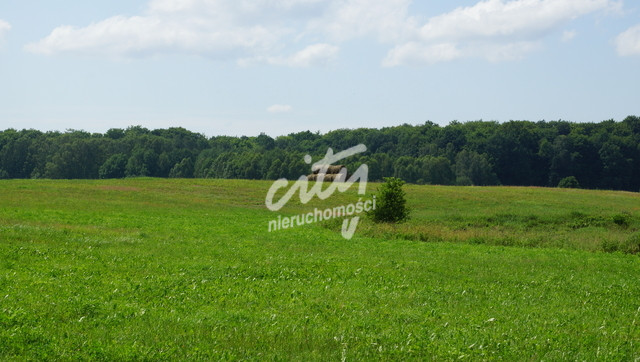Działka Sprzedaż Bobolice 6