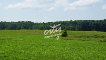 Działka Sprzedaż Bobolice