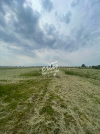Działka Sprzedaż Wierzbno