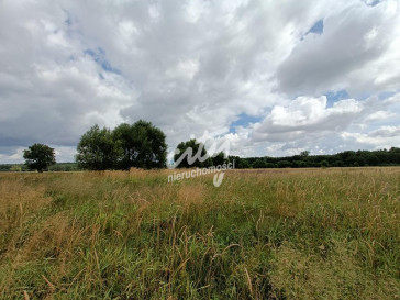 Działka Sprzedaż Żarowo