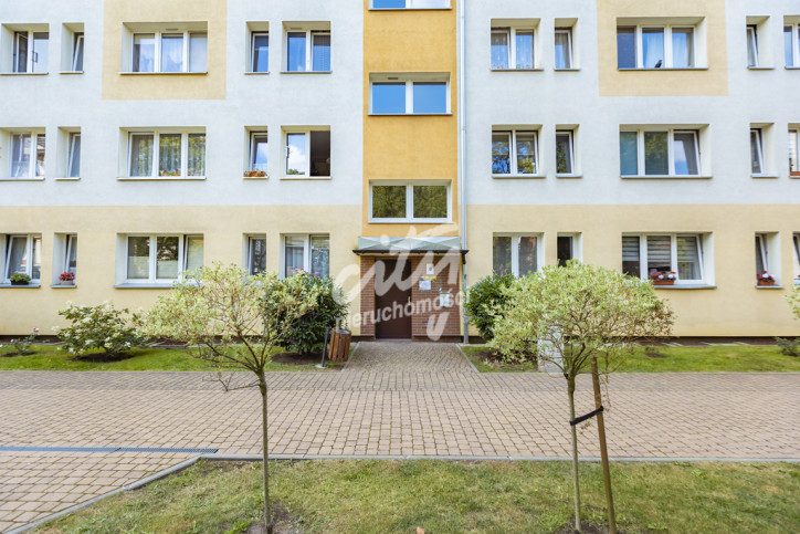 Mieszkanie Wynajem Szczecin Śródmieście-Centrum 16