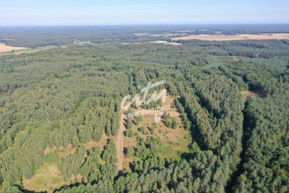 Działka Sprzedaż Krzywice
