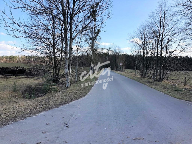 Działka Sprzedaż Sosnowice 2