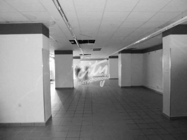 Lokal Wynajem Szczecin Centrum 4