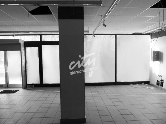Lokal Wynajem Szczecin Centrum 2