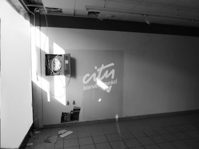 Lokal Wynajem Szczecin Centrum 5