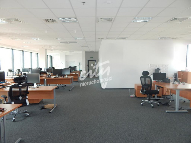 Lokal Wynajem Szczecin Centrum 3