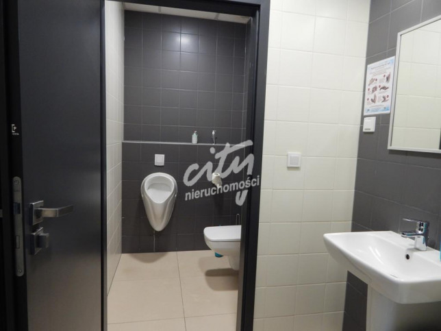 Lokal Wynajem Szczecin Centrum 8