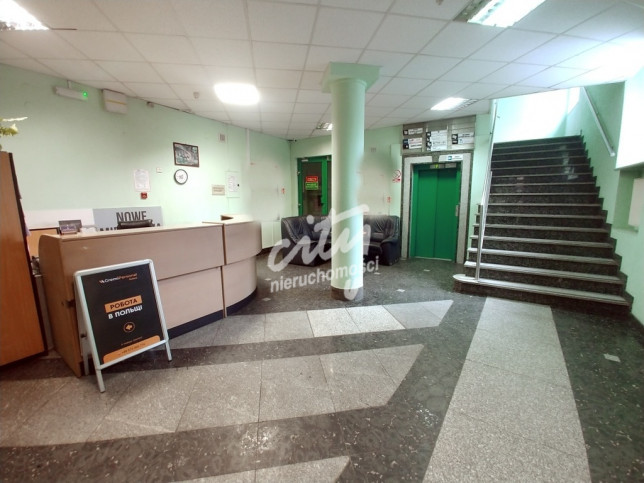 Lokal Wynajem Szczecin Centrum 8