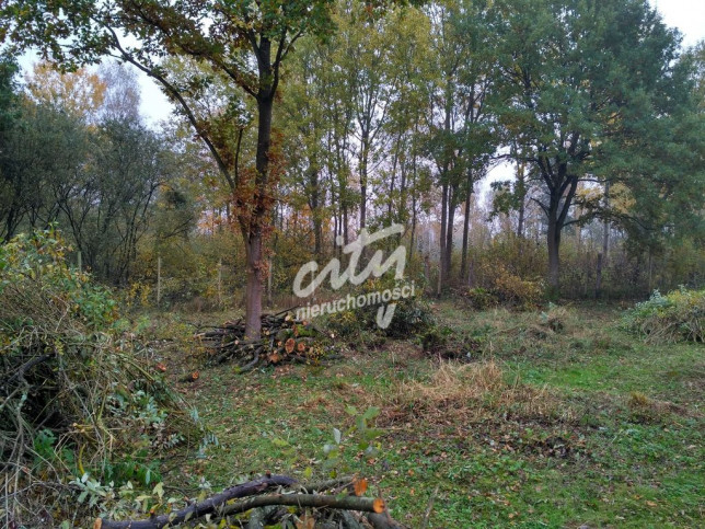 Działka Sprzedaż Grębowo 2
