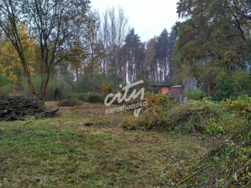 Działka Sprzedaż Grębowo