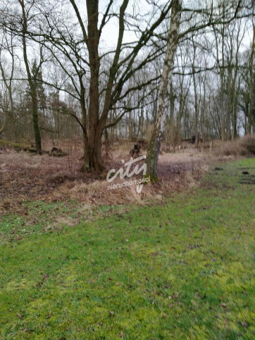 Działka Sprzedaż Rzędziny 13