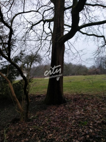 Działka Sprzedaż Rzędziny 16