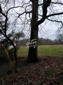 Działka Sprzedaż Rzędziny