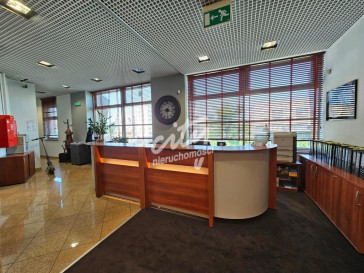 Lokal Wynajem Szczecin Centrum