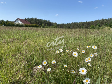 Działka Sprzedaż Przybiernów