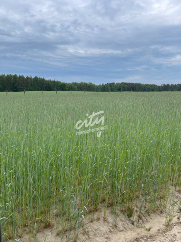 Działka Sprzedaż Chociwel 5