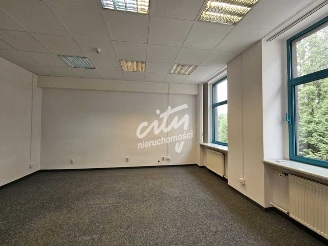 Lokal Wynajem Szczecin Centrum 15