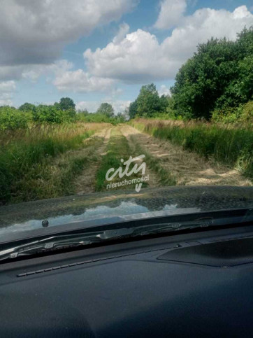Działka Sprzedaż Stara Dąbrowa 12