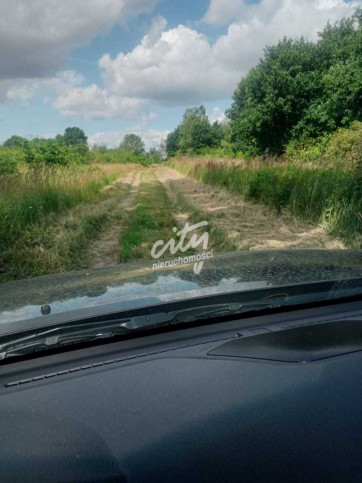 Działka Sprzedaż Stara Dąbrowa 2