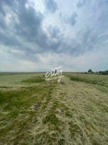 Działka Sprzedaż Wierzbno 10