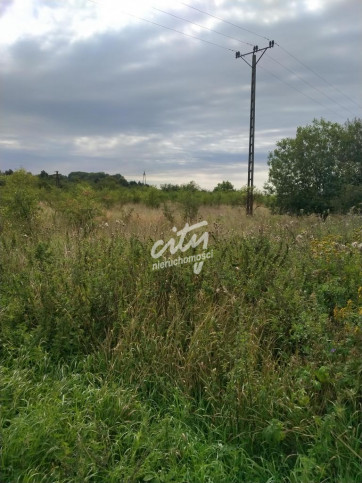 Działka Sprzedaż Pyrzyce 3